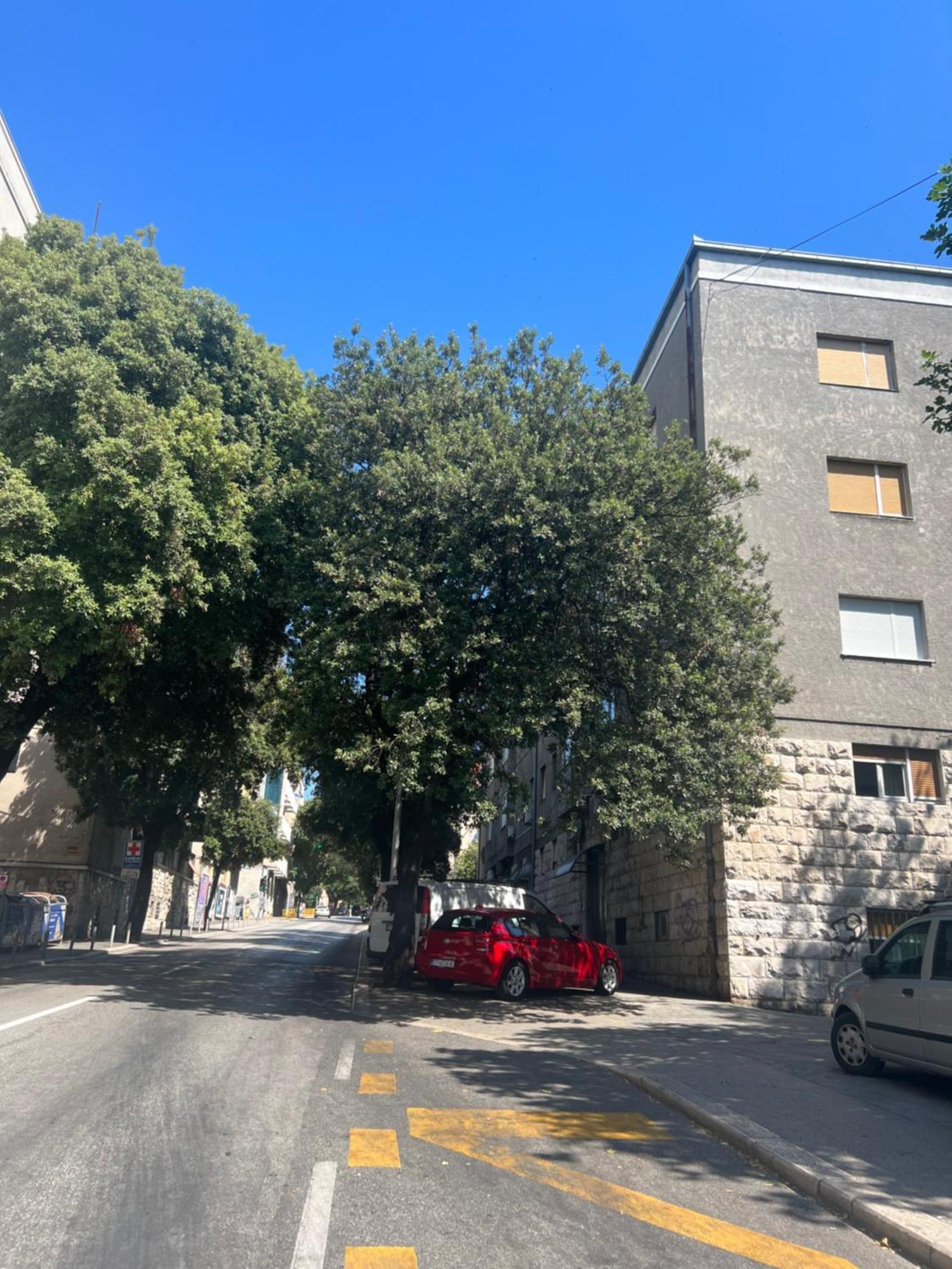 Apartamento Anachi